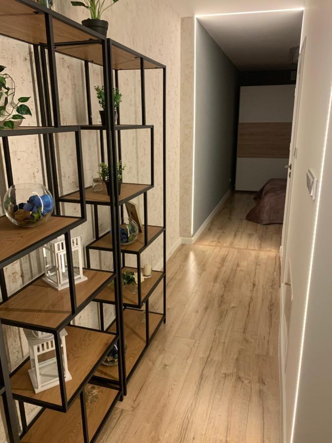 Moderno Apartament كراكوفيا المظهر الخارجي الصورة